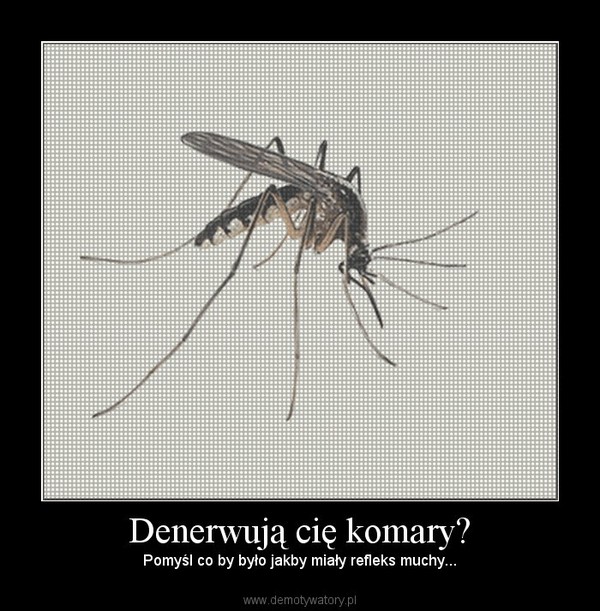 Denerwują cię komary? – Pomyśl co by było jakby miały refleks muchy... 