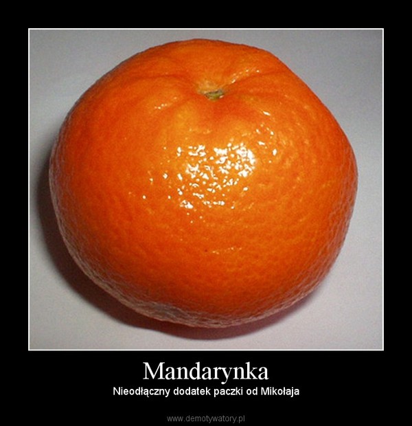 Mandarynka – Nieodłączny dodatek paczki od Mikołaja 