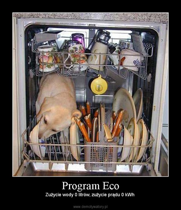 Program Eco