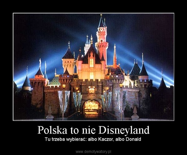 Polska to nie Disneyland – Tu trzeba wybierać: albo Kaczor, albo Donald  