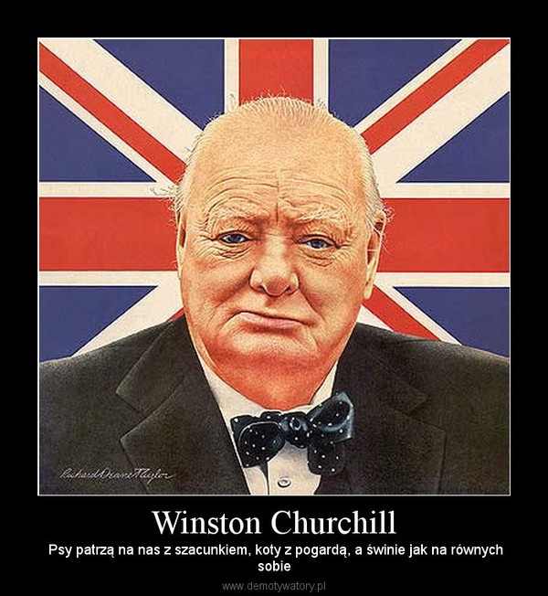 Winston Churchill –  Psy patrzą na nas z szacunkiem, koty z pogardą, a świnie jak na równychsobie 