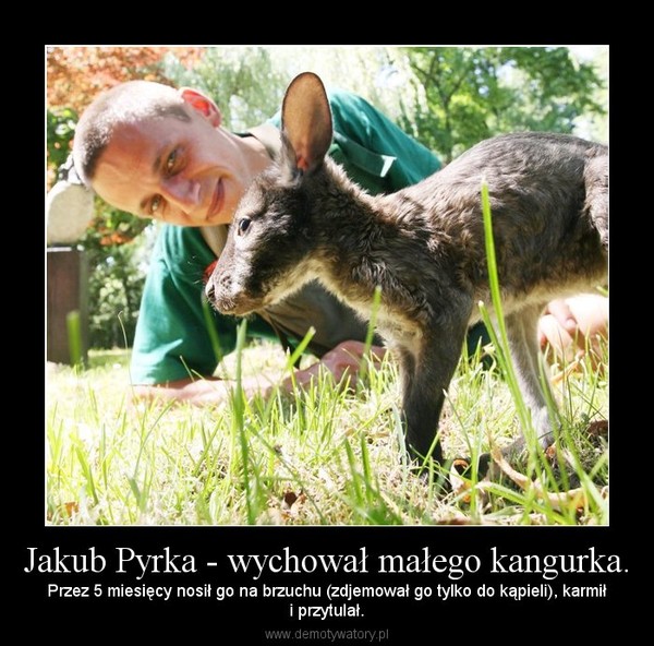 Jakub Pyrka - wychował małego kangurka. – Przez 5 miesięcy nosił go na brzuchu (zdjemował go tylko do kąpieli), karmiłi przytulał. 