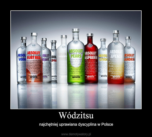 Wódzitsu – najchętniej uprawiana dyscyplina w Polsce 