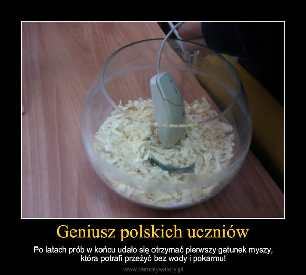 Geniusz polskich uczniów – Po latach prób w końcu udało się otrzymać pierwszy gatunek myszy,która potrafi przeżyć bez wody i pokarmu! 