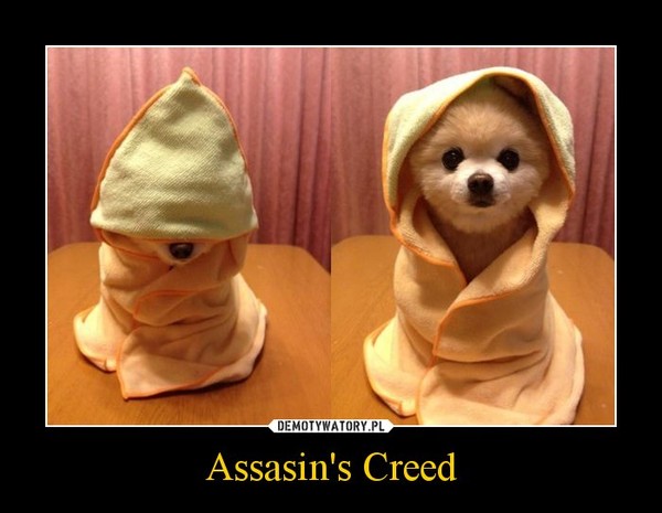 Assasin's Creed –  