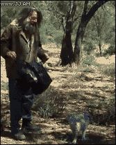 Jak najłatwiej złapać kangura? – Wystarczy wsadzić go do torby 