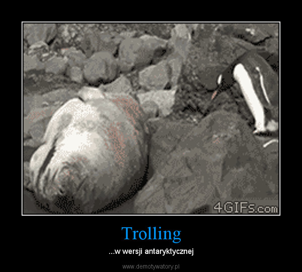 Trolling – ...w wersji antaryktycznej 