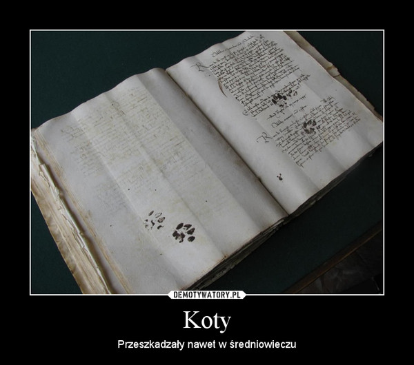 Koty – Przeszkadzały nawet w średniowieczu 