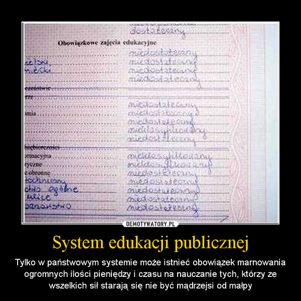 System edukacji publicznej