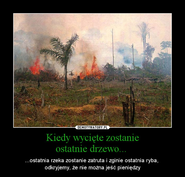 Kiedy wycięte zostanieostatnie drzewo...  – ...ostatnia rzeka zostanie zatruta i zginie ostatnia ryba, odkryjemy, że nie można jeść pieniędzy 