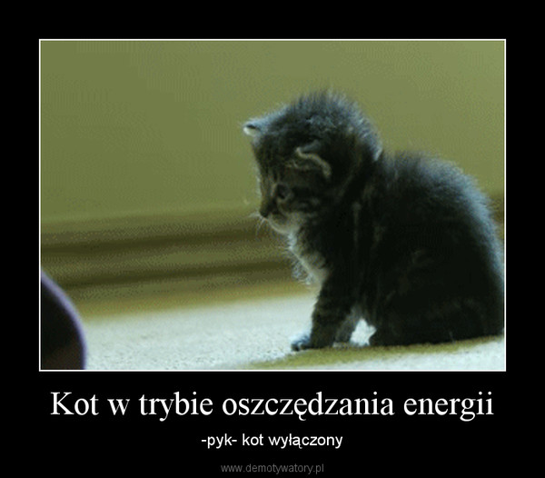 Kot w trybie oszczędzania energii – -pyk- kot wyłączony 