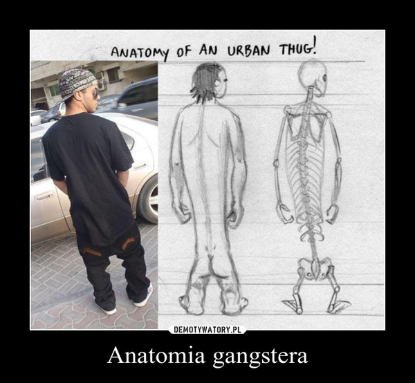Anatomia gangstera –  