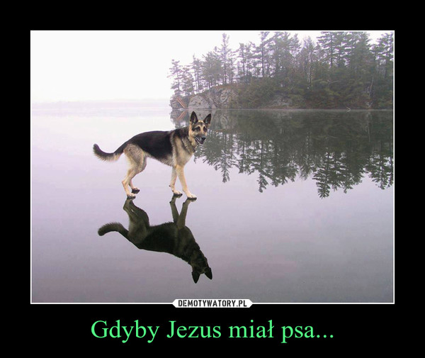 Gdyby Jezus miał psa... –  