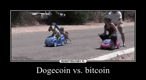 Dogecoin vs. bitcoin –  