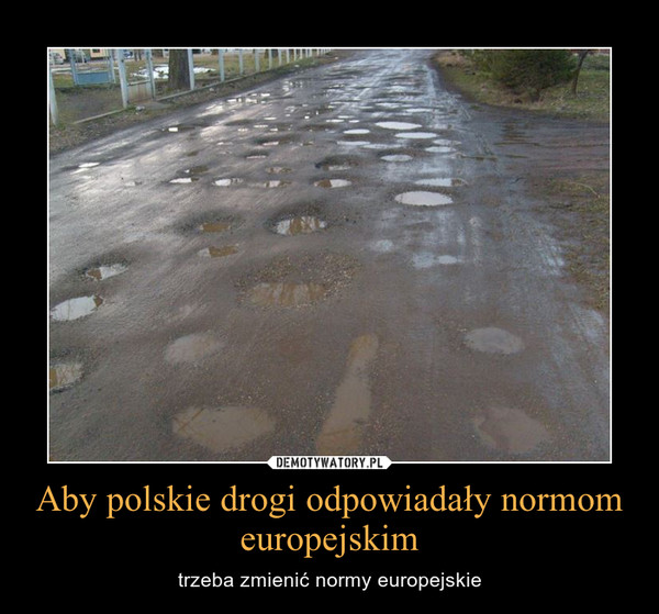 Aby polskie drogi odpowiadały normom europejskim – trzeba zmienić normy europejskie 