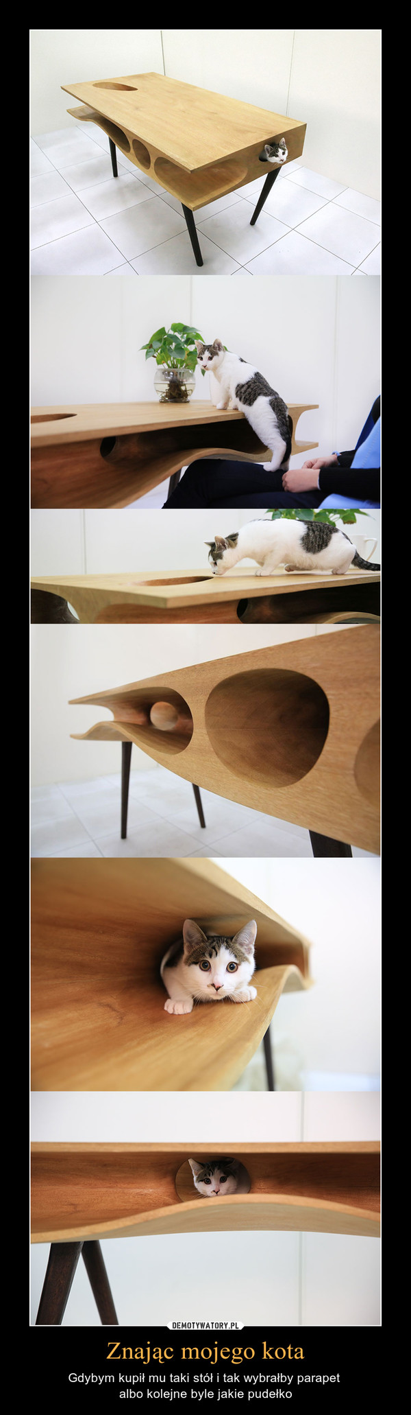 Znając mojego kota – Gdybym kupił mu taki stół i tak wybrałby parapet albo kolejne byle jakie pudełko 