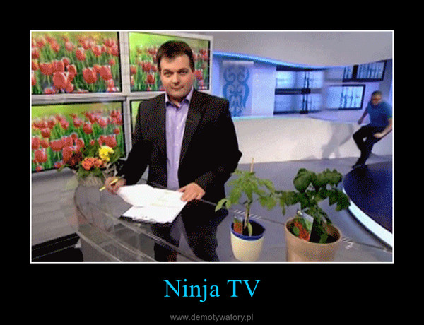 Ninja TV –  