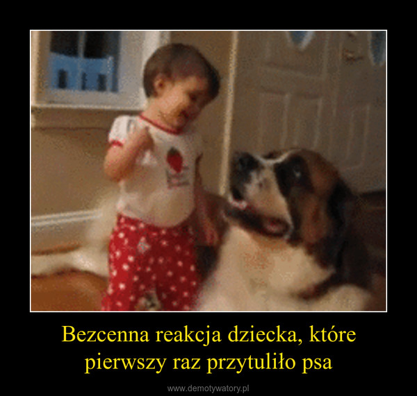 Bezcenna reakcja dziecka, które pierwszy raz przytuliło psa –  