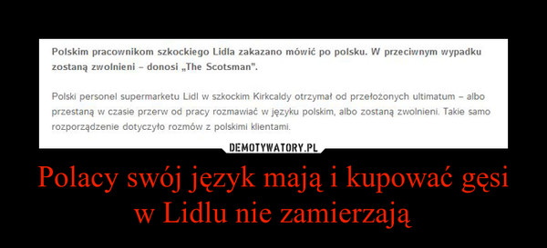 Polacy swój język mają i kupować gęsi w Lidlu nie zamierzają –  