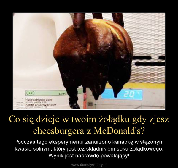 Co się dzieje w twoim żołądku gdy zjesz cheesburgera z McDonald's? – Podczas tego eksperymentu zanurzono kanapkę w stężonym kwasie solnym, który jest też składnikiem soku żołądkowego. Wynik jest naprawdę powalający! 