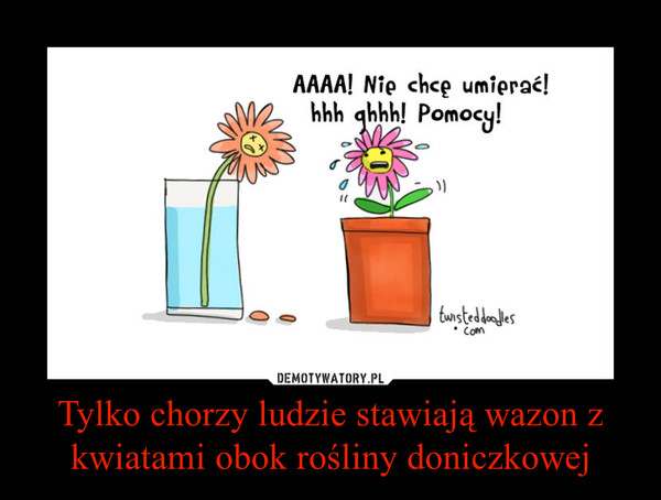 Tylko chorzy ludzie stawiają wazon z kwiatami obok rośliny doniczkowej –  