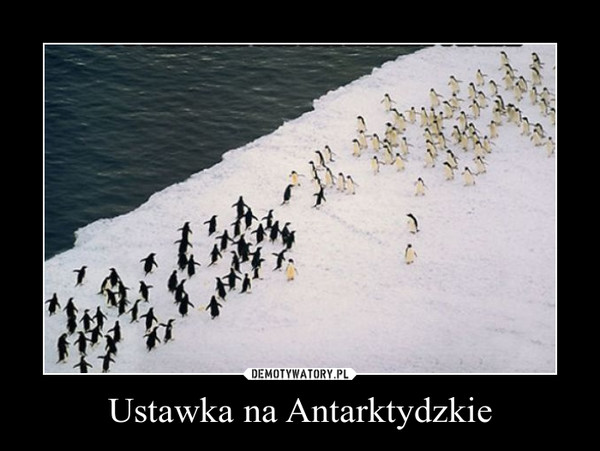 Ustawka na Antarktydzkie –  