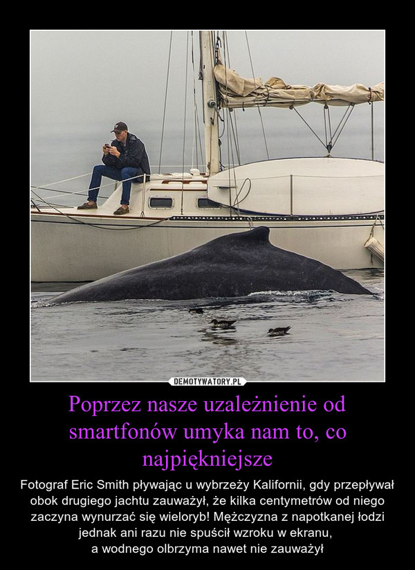 Poprzez nasze uzależnienie od smartfonów umyka nam to, co najpiękniejsze – Fotograf Eric Smith pływając u wybrzeży Kalifornii, gdy przepływał obok drugiego jachtu zauważył, że kilka centymetrów od niego zaczyna wynurzać się wieloryb! Mężczyzna z napotkanej łodzi jednak ani razu nie spuścił wzroku w ekranu, a wodnego olbrzyma nawet nie zauważył 