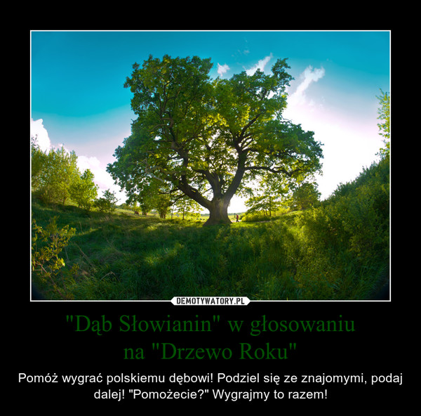 "Dąb Słowianin" w głosowaniuna "Drzewo Roku" – Pomóż wygrać polskiemu dębowi! Podziel się ze znajomymi, podaj dalej! "Pomożecie?" Wygrajmy to razem! 