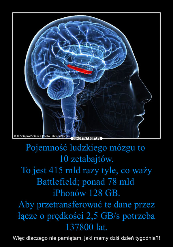 Pojemność ludzkiego mózgu to 10 zetabajtów.To jest 415 mld razy tyle, co waży Battlefield; ponad 78 mld iPhonów 128 GB.Aby przetransferować te dane przez łącze o prędkości 2,5 GB/s potrzeba 137800 lat. – Więc dlaczego nie pamiętam, jaki mamy dziś dzień tygodnia?! 