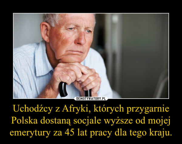 Uchodźcy z Afryki, których przygarnie Polska dostaną socjale wyższe od mojej emerytury za 45 lat pracy dla tego kraju. –  