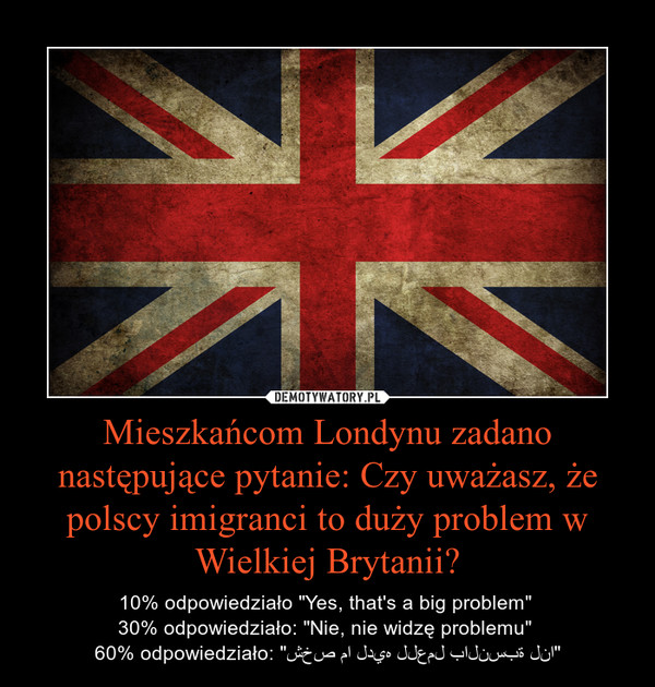 Mieszkańcom Londynu zadano następujące pytanie: Czy uważasz, że polscy imigranci to duży problem w Wielkiej Brytanii?