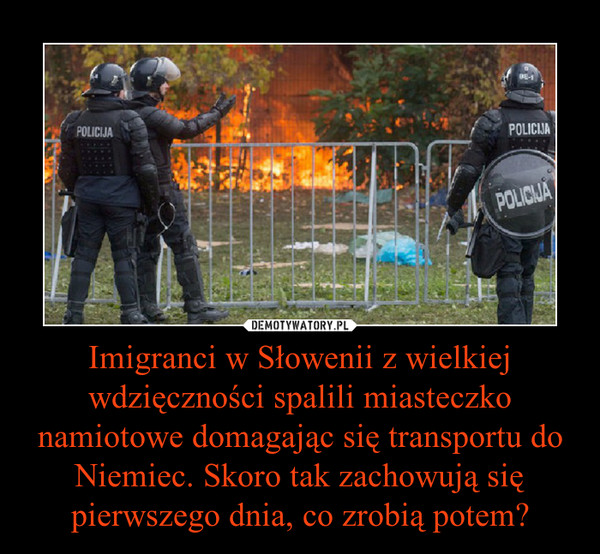 Imigranci w Słowenii z wielkiej wdzięczności spalili miasteczko namiotowe domagając się transportu do Niemiec. Skoro tak zachowują się pierwszego dnia, co zrobią potem? –  