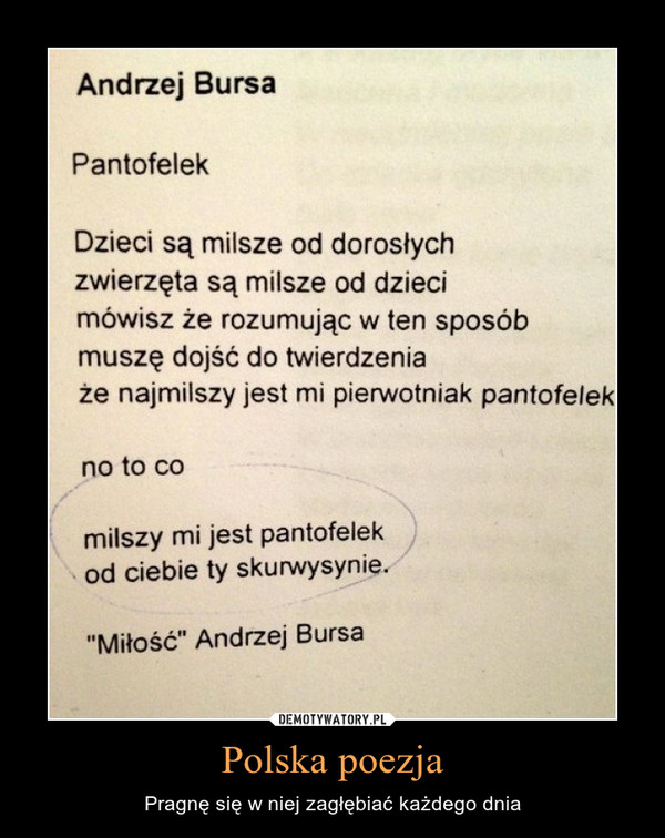 Polska poezja