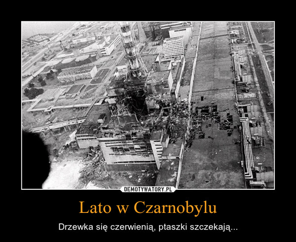 Lato w Czarnobylu – Drzewka się czerwienią, ptaszki szczekają... 