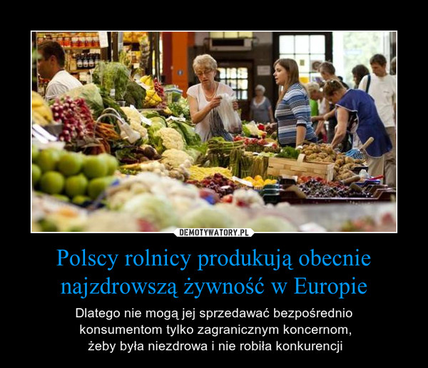 Polscy rolnicy produkują obecnie najzdrowszą żywność w Europie – Dlatego nie mogą jej sprzedawać bezpośrednio konsumentom tylko zagranicznym koncernom, żeby była niezdrowa i nie robiła konkurencji 