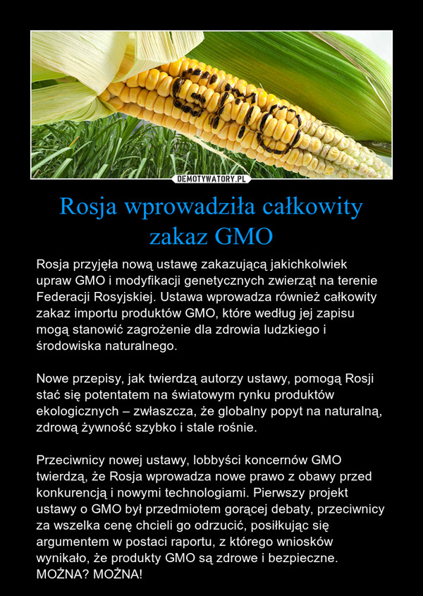 Rosja wprowadziła całkowity
zakaz GMO