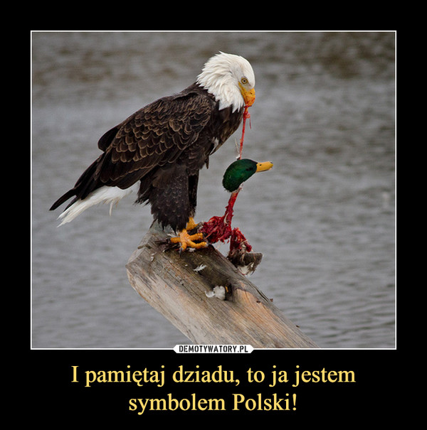 I pamiętaj dziadu, to ja jestem symbolem Polski! –  