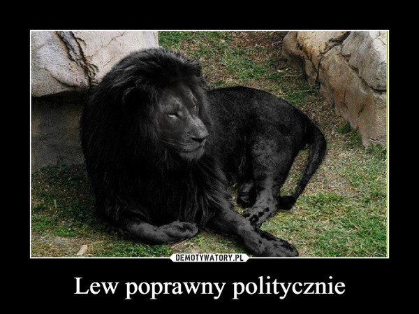 Lew poprawny politycznie –  