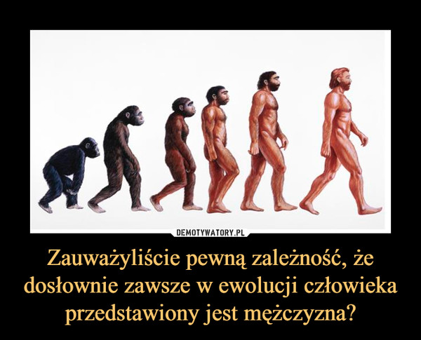 Zauważyliście pewną zależność, że dosłownie zawsze w ewolucji człowieka przedstawiony jest mężczyzna?