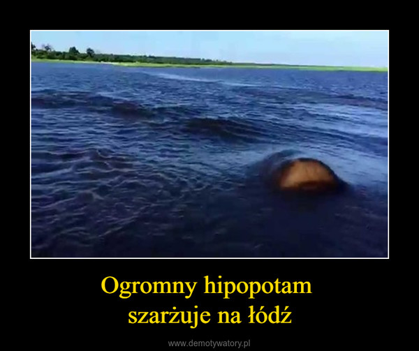 Ogromny hipopotam szarżuje na łódź –  