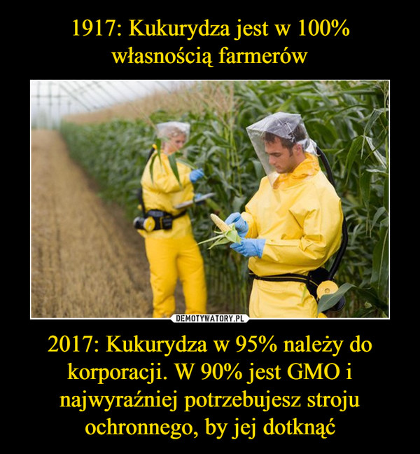2017: Kukurydza w 95% należy do korporacji. W 90% jest GMO i najwyraźniej potrzebujesz stroju ochronnego, by jej dotknąć –  