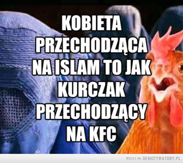Kurczaki nie bardzo mają wybór –  KOBIETAPRZECHODZĄCANA ISLAM TO JAKKURCZAKPRZECHODZĄCYNA KFC