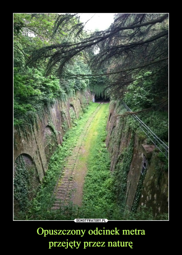 Opuszczony odcinek metra
przejęty przez naturę