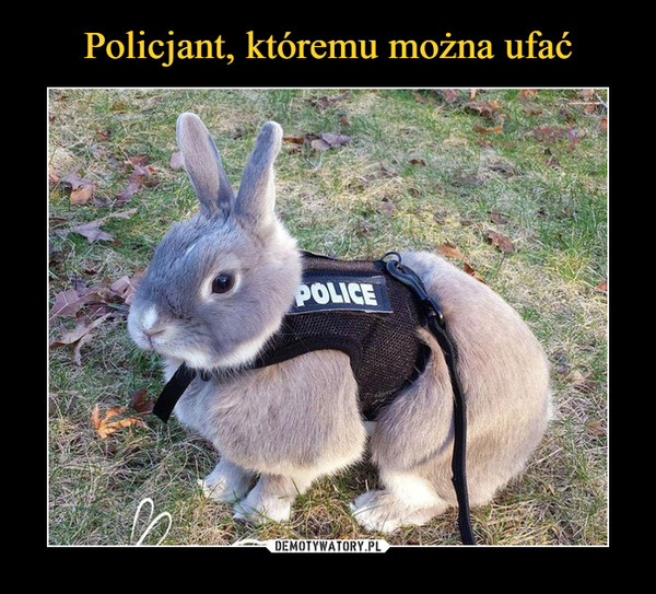 –  police