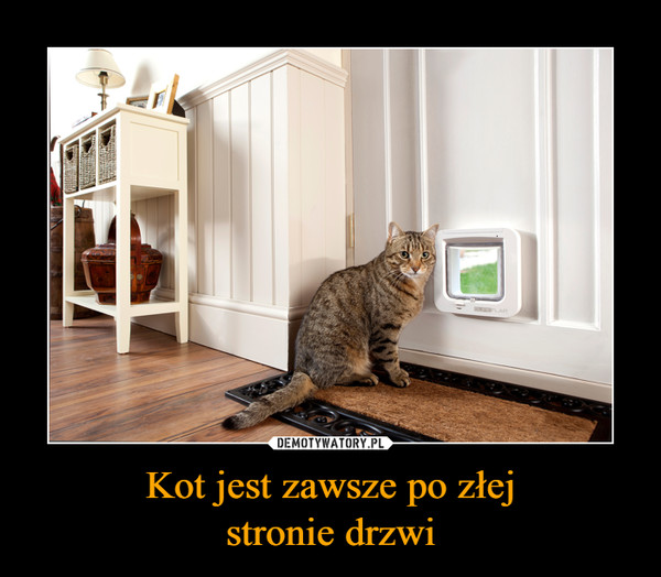 Kot jest zawsze po złejstronie drzwi –  
