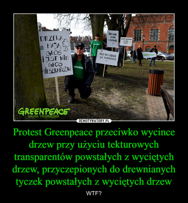 Protest Greenpeace przeciwko wycince drzew przy użyciu tekturowych transparentów powstałych z wyciętych drzew, przyczepionych do drewnianych tyczek powstałych z wyciętych drzew