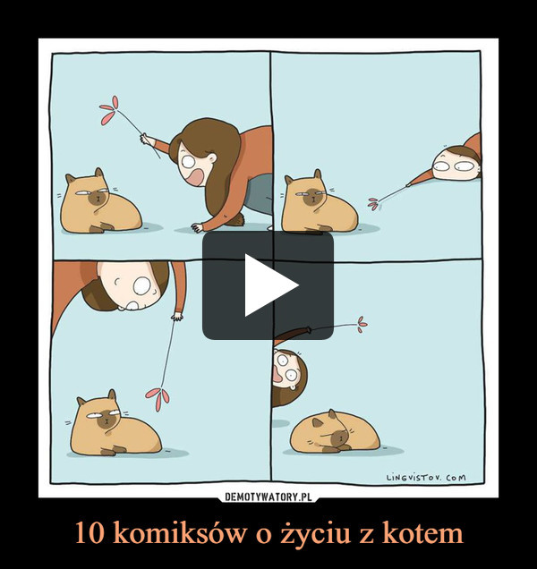 10 komiksów o życiu z kotem –  