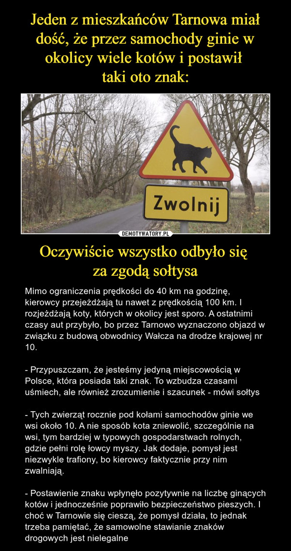 Jeden z mieszkańców Tarnowa miał dość, że przez samochody ginie w okolicy wiele kotów i postawił 
taki oto znak: Oczywiście wszystko odbyło się 
za zgodą sołtysa