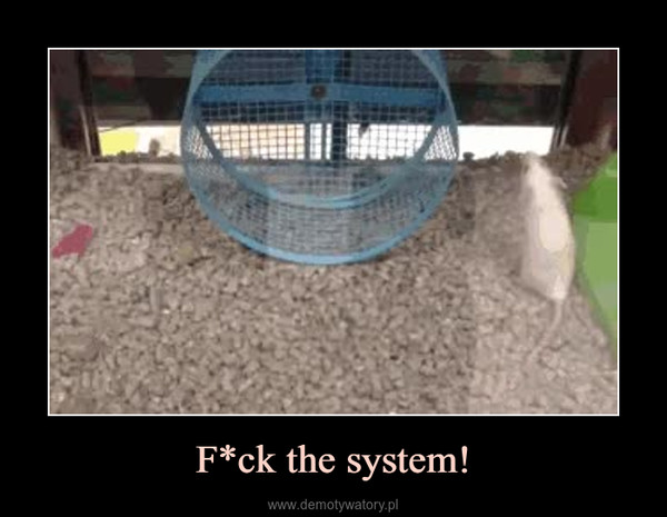 F*ck the system! –  