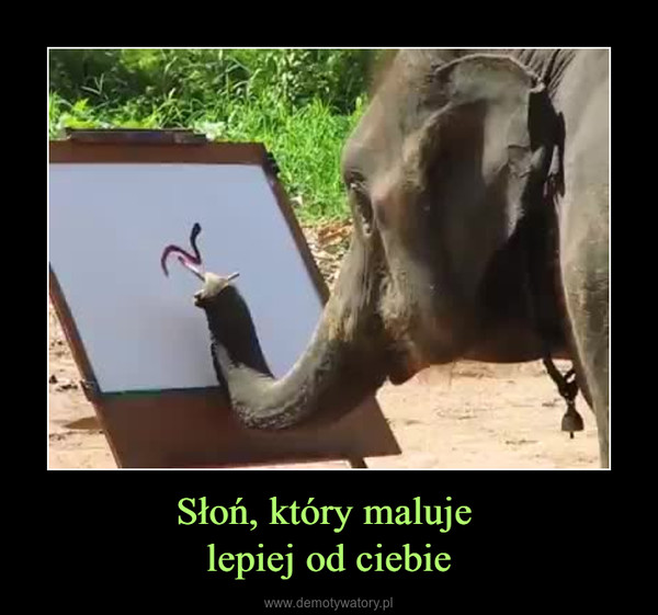 Słoń, który maluje lepiej od ciebie –  